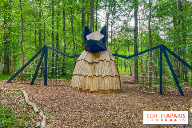 Mission Forêt - IMG 2152