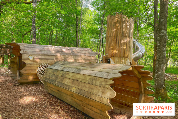 Mission Forêt - IMG 2153