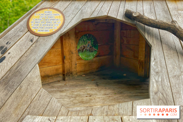 Mission Forêt - IMG 2156