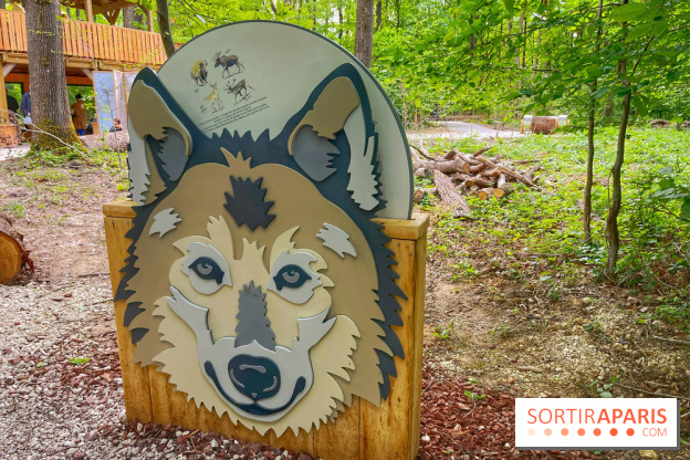 La Forêt des Loups - IMG 2086