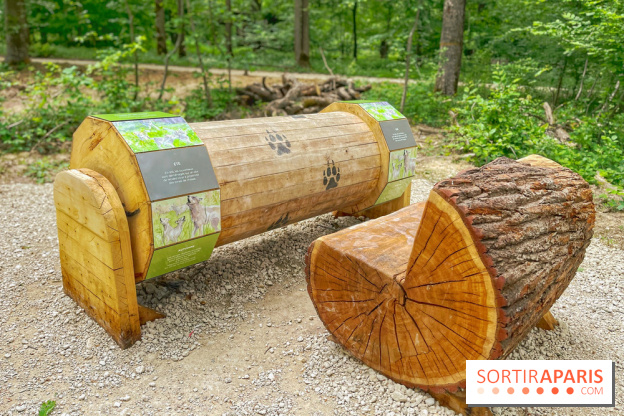 La Forêt des Loups - IMG 2098