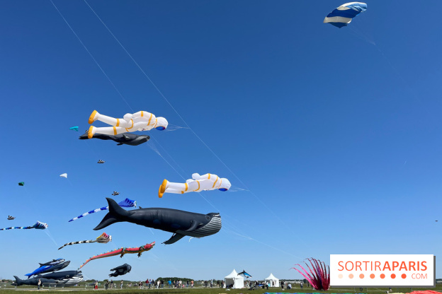 Festival de Cerfs-Volants à la Base 217