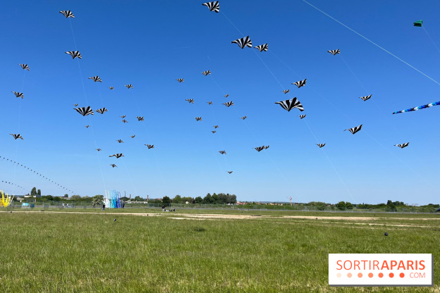 Festival de Cerfs-Volants à la Base 217