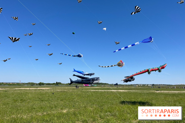 Festival de Cerfs-Volants à la Base 217 - IMG 2190