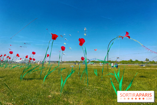 Festival de Cerfs-Volants à la Base 217