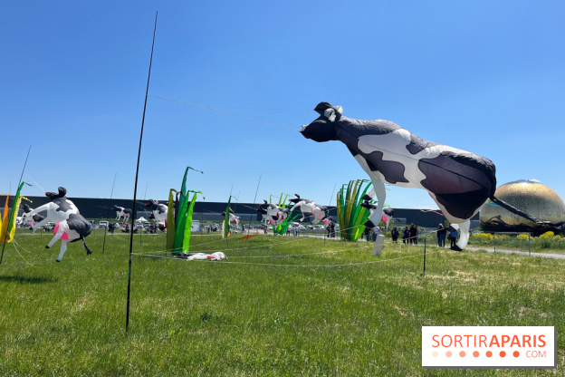 Festival de Cerfs-Volants à la Base 217
