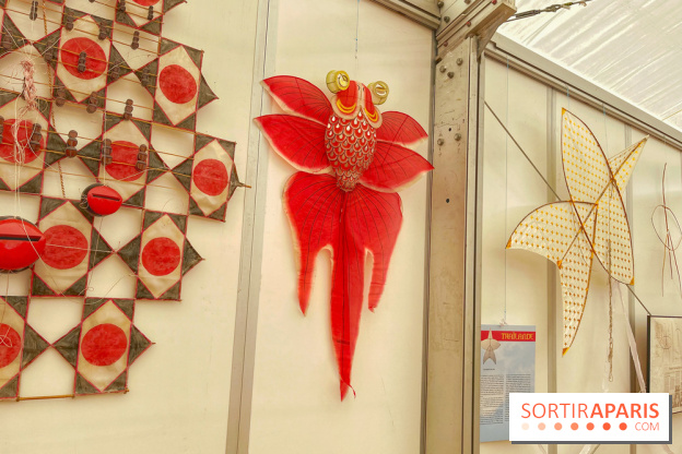 Festival de Cerfs-Volants à la Base 217 - IMG 2198