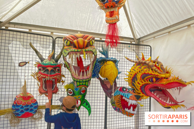 Festival de Cerfs-Volants à la Base 217 - IMG 2205