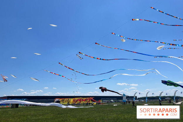 Festival de Cerfs-Volants à la Base 217