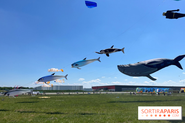 Festival de Cerfs-Volants à la Base 217