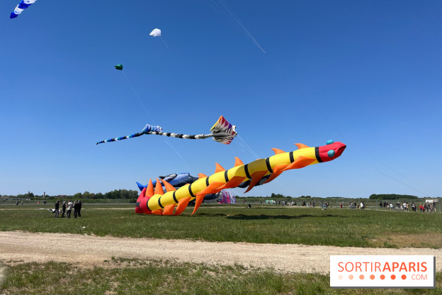 Festival de Cerfs-Volants à la Base 217