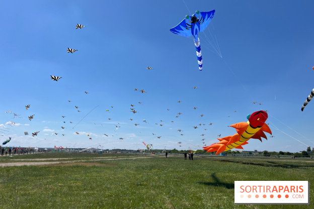 Festival de Cerfs-Volants à la Base 217