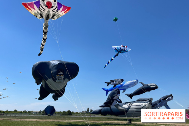 Festival de Cerfs-Volants à la Base 217
