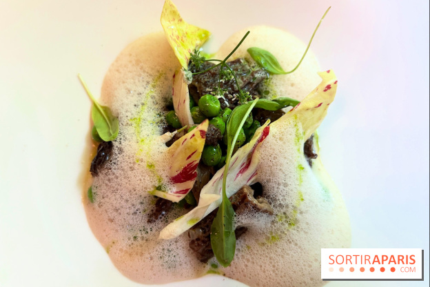 Villa9Trois - Morilles à l'étuvée