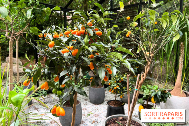 Villa9Trois - Orangerie