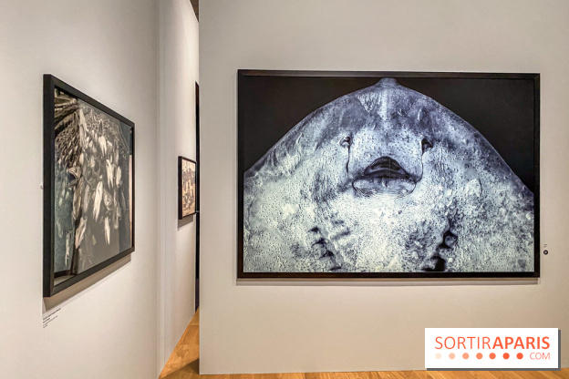 Jean Gaumy et la Mer : l'exposition maritime intimiste au Musée de la Marine - IMG 5471