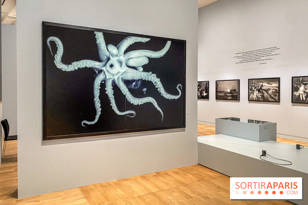 Jean Gaumy et la Mer : l'exposition maritime intimiste au Musée de la Marine
