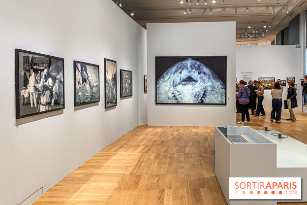 Jean Gaumy et la Mer : l'exposition maritime intimiste au Musée de la Marine