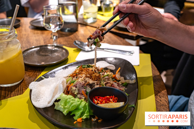 Comme au Vietnam, restaurant vietnamien Paris 13e - salade de boeuf