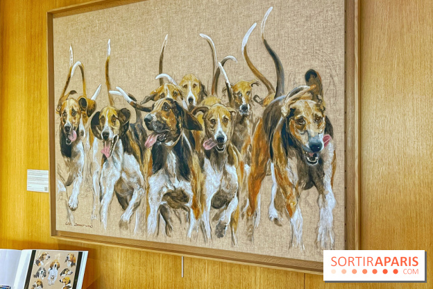 Collection dédié aux chiens - IMG 2314