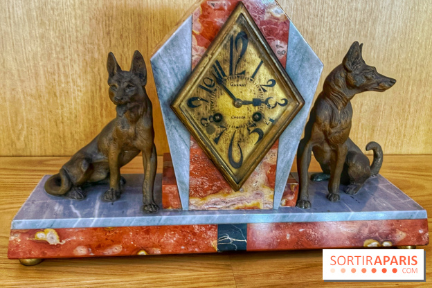 Collection dédié aux chiens