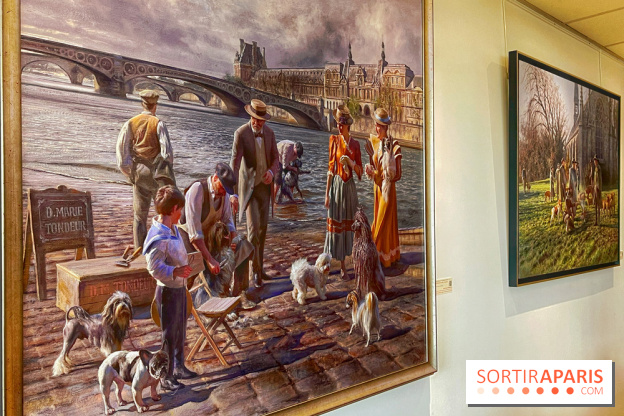 Collection dédié aux chiens - IMG 2319