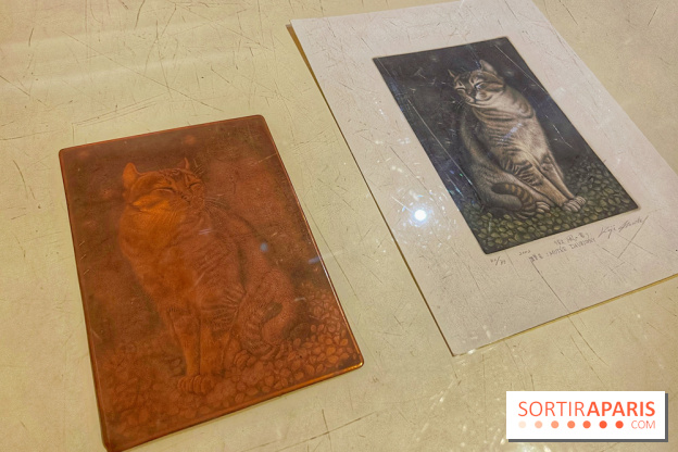 Musée Daubigny - IMG 2389