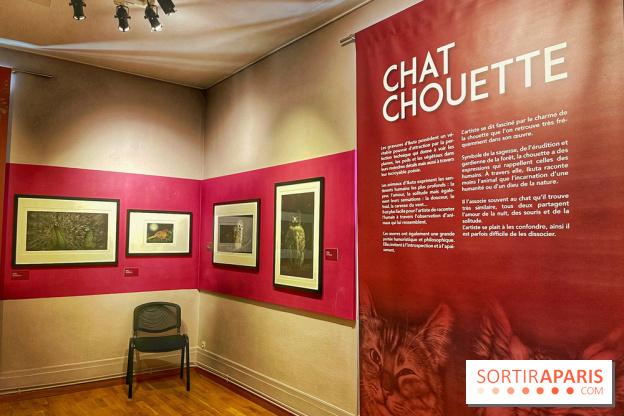 Musée Daubigny - IMG 2390