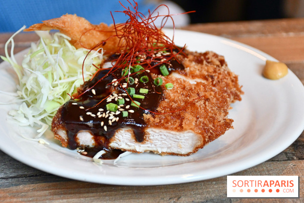 Wadon Izakaya, le restaurant japonais avec un menu Omakase gourmand à Paris - DSC 4086 Fotor