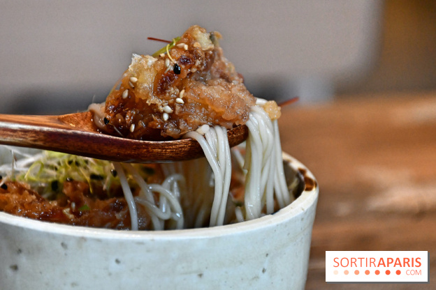 Wadon Izakaya, le restaurant japonais avec un menu Omakase gourmand à Paris - DSC 4102 Fotor