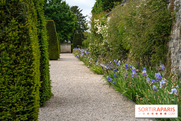 Exposition Van Gogh, les derniers voyages - photos - A7C08679