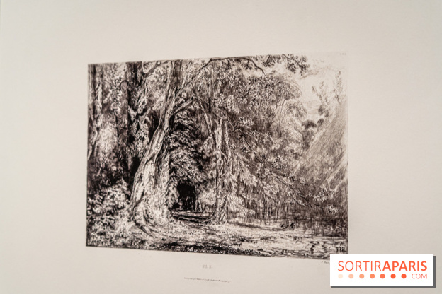 Exposition Van Gogh, les derniers voyages - photos - A7C08724