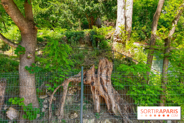 Encore plus d'Auvers-sur-Oise - IMG 2399