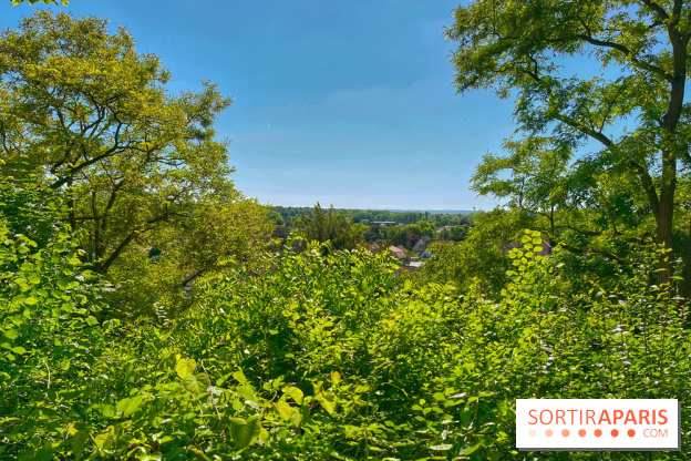 Encore plus d'Auvers-sur-Oise - IMG 2403