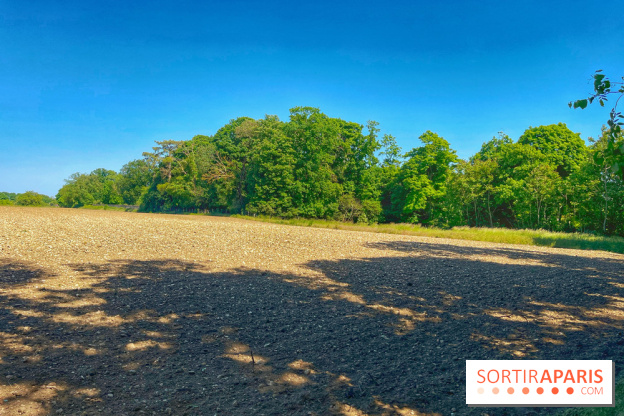 Encore plus d'Auvers-sur-Oise - IMG 2404