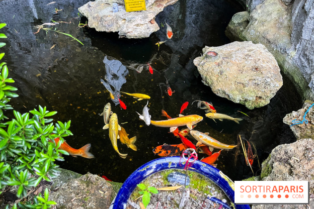 La pagode Trúc Lâm Thiền Viện - nos photos - image00021