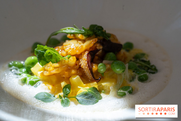 La terrasse estivale d'Apicius - A7C08899