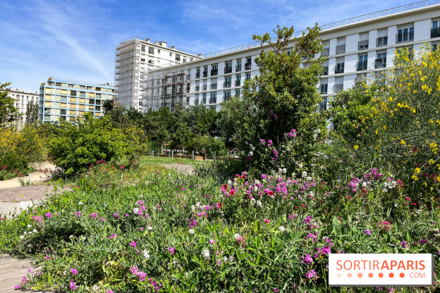 Jardin Anna Marly - nos photos - image00010