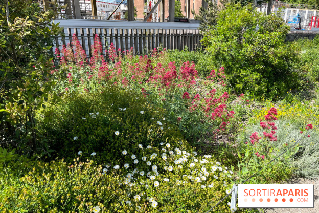 Jardin Anna Marly - nos photos - image00001