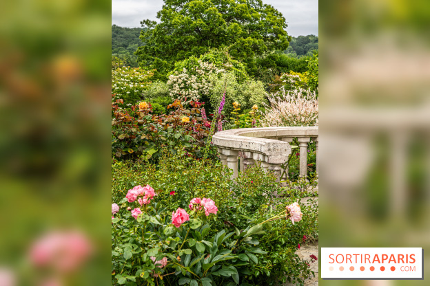 Les Jardins de Juliette à Elancourt  -  A7C5441