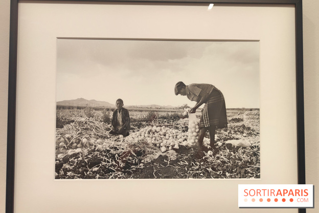 Marie-Laure de Decker exposition MEP - fotor 1748953185853