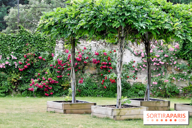 Maison Blanche le restaurant gastronomique du Mesnil Saint-Denis (93) - IMG 1038