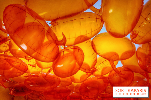 Euphoria - IMG 2730 2