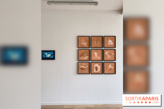 Exposition de Fred Atlan à la galerie Rachel Hardouin : au creux de mes paupières