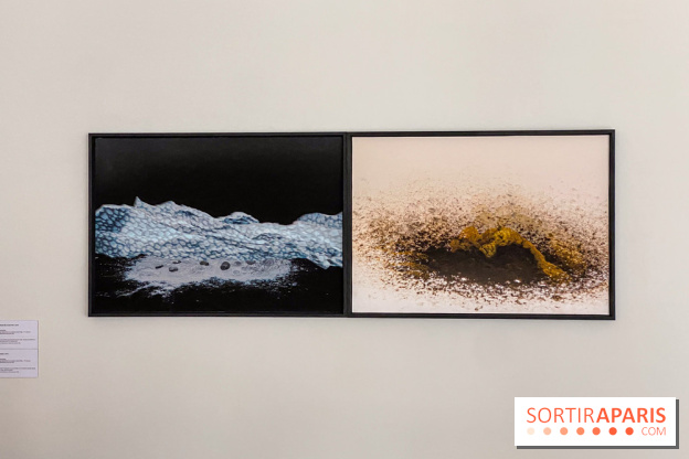 Exposition de Fred Atlan à la galerie Rachel Hardouin : au creux de mes paupières