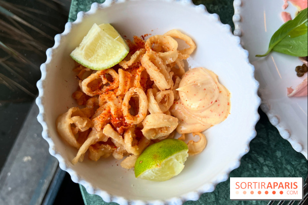 Daroco Bourse - Encornets frits