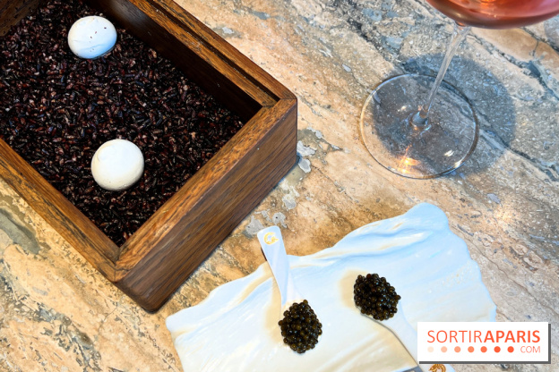 Restaurant Alan Geaam - Meringue de caviar et labneh