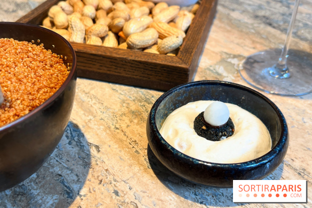 Restaurant Alan Geaam - Mini falafel, labhan, vierge de pois chiche, pickles radis