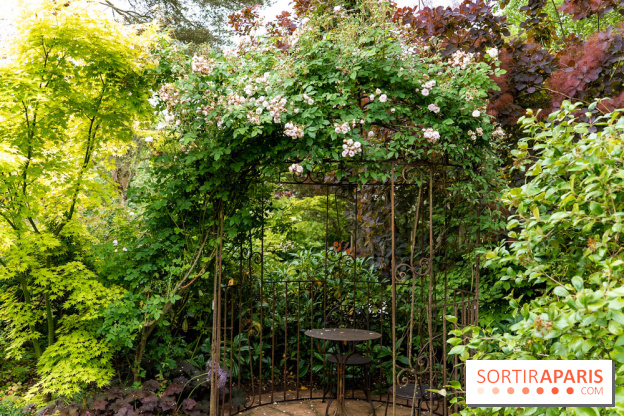 Le Jardin des Aubépines a Auffargis  - A7C01330