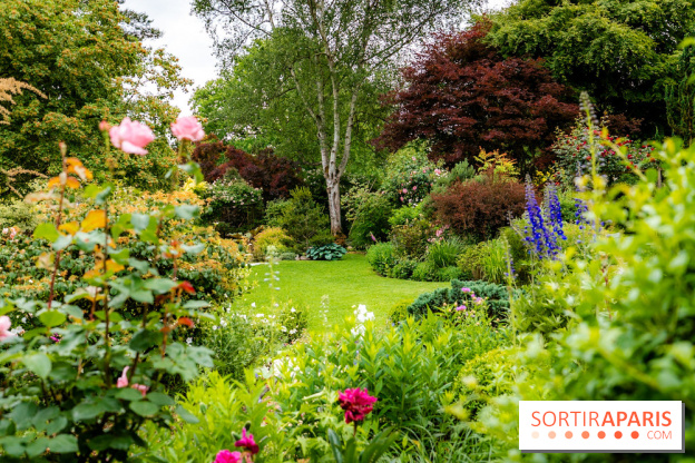Le Jardin des Aubépines a Auffargis  - A7C01416